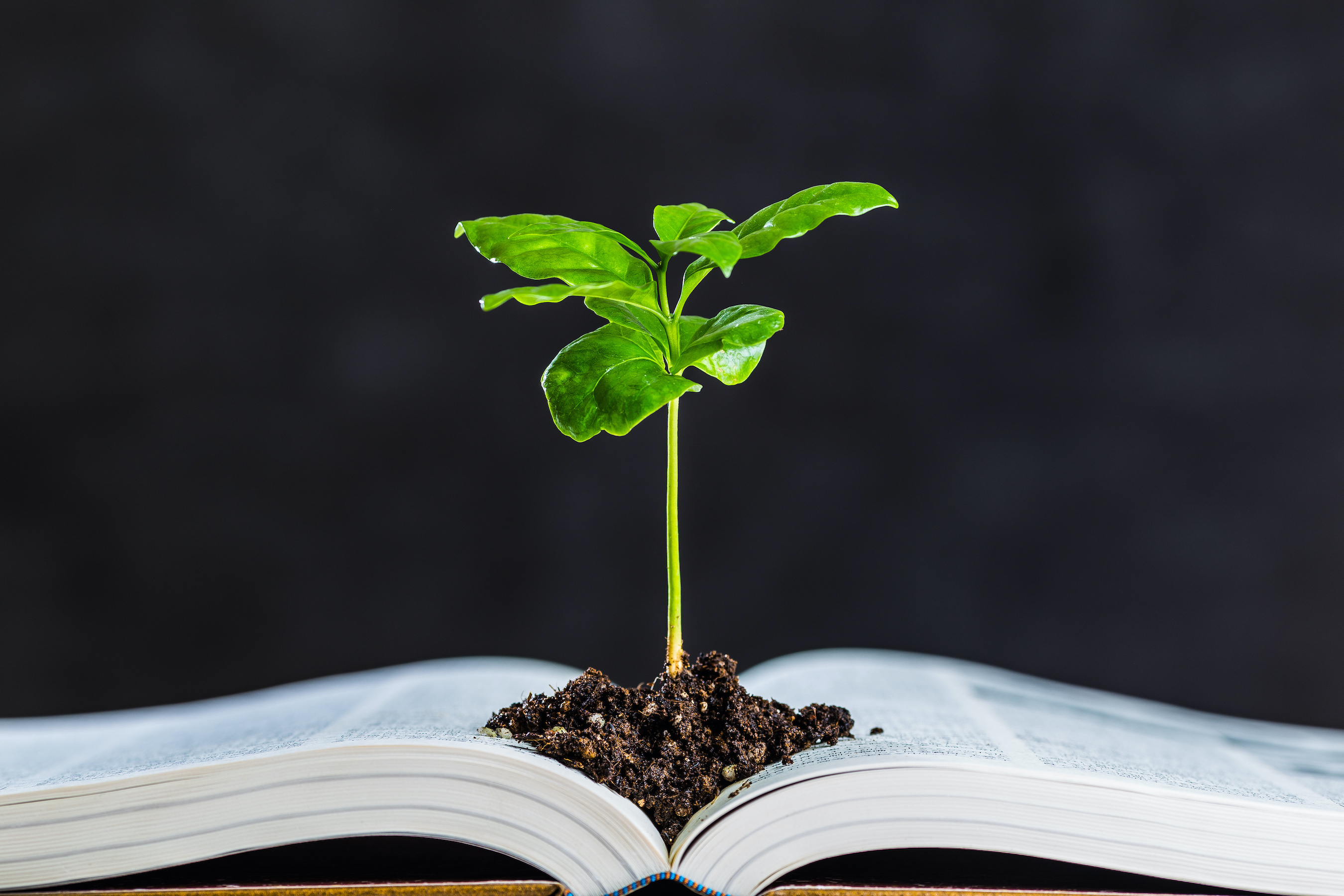 environmental law book with a plant